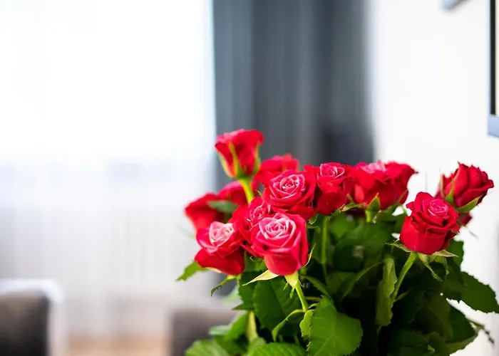 Pod Arkadami Apartment *