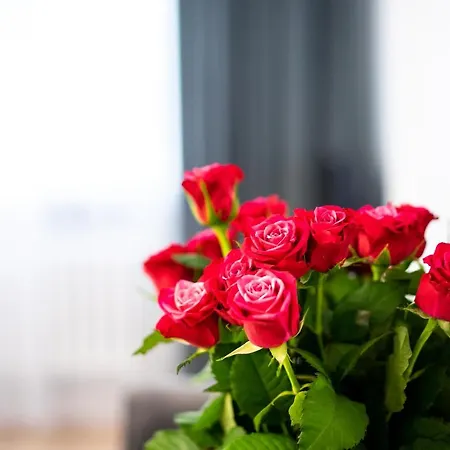 Pod Arkadami Апартаменты *